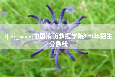 仁怀中国消防救援学院2024年招生分数线