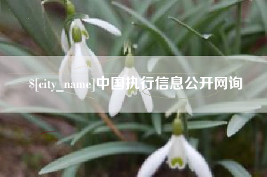仁怀中国执行信息公开网询