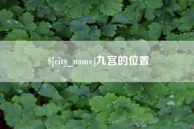 仁怀九宫的位置