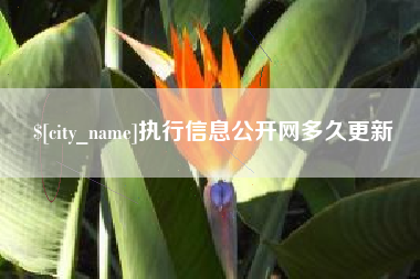 仁怀执行信息公开网多久更新