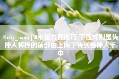 仁怀60米接力赛技巧-下压式则是传棒人将棒的前部由上向下传到接棒人手中