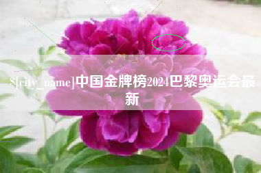 仁怀中国金牌榜2024巴黎奥运会最新