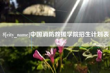 仁怀中国消防救援学院招生计划表