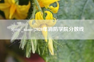 仁怀2020年消防学院分数线