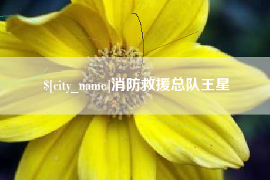 仁怀消防救援总队王星