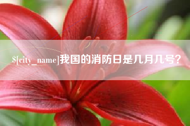 仁怀我国的消防日是几月几号？