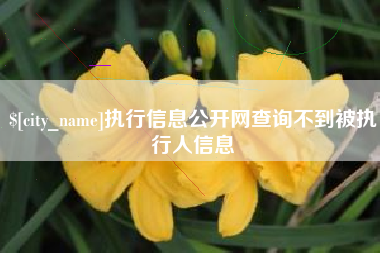 仁怀执行信息公开网查询不到被执行人信息