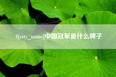 仁怀中国冠军是什么牌子
