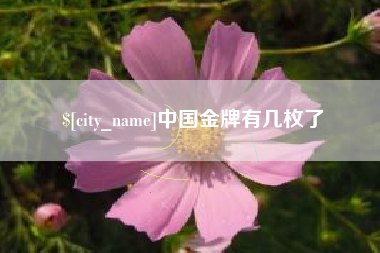 仁怀中国金牌有几枚了