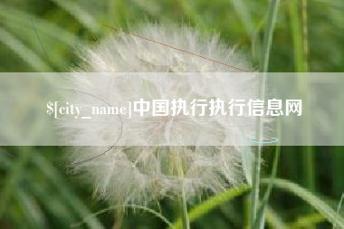 仁怀中国执行执行信息网