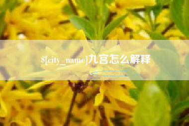仁怀九宫怎么解释