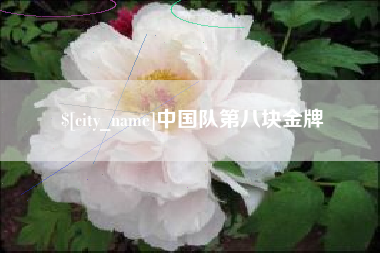 仁怀中国队第八块金牌