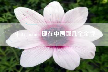 仁怀现在中国哪几个金牌