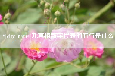 仁怀九宫格数字代表的五行是什么