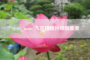 仁怀九宫格图片组图唯美