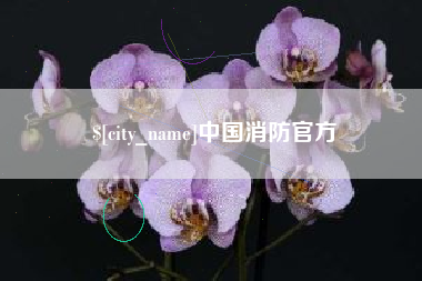 仁怀中国消防官方