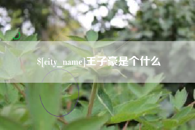仁怀王子豪是个什么