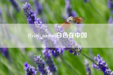 仁怀白色在中国
