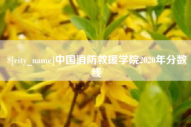 仁怀中国消防救援学院2020年分数线