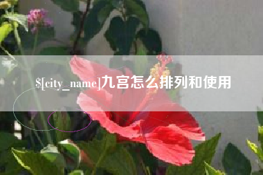 仁怀九宫怎么排列和使用