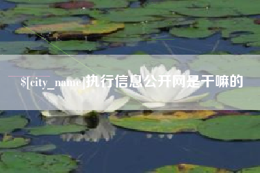 仁怀执行信息公开网是干嘛的