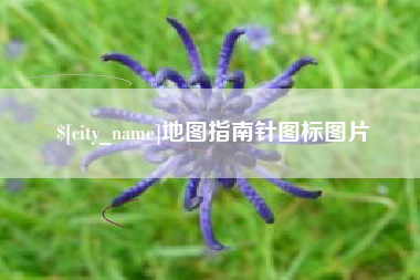 仁怀地图指南针图标图片
