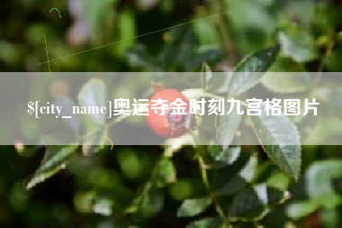 仁怀奥运夺金时刻九宫格图片