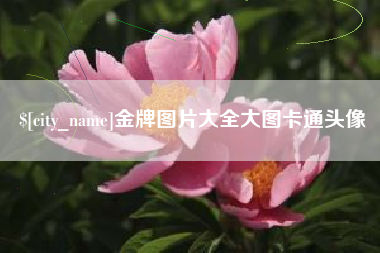 仁怀金牌图片大全大图卡通头像