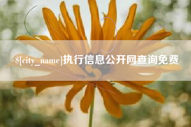 仁怀执行信息公开网查询免费